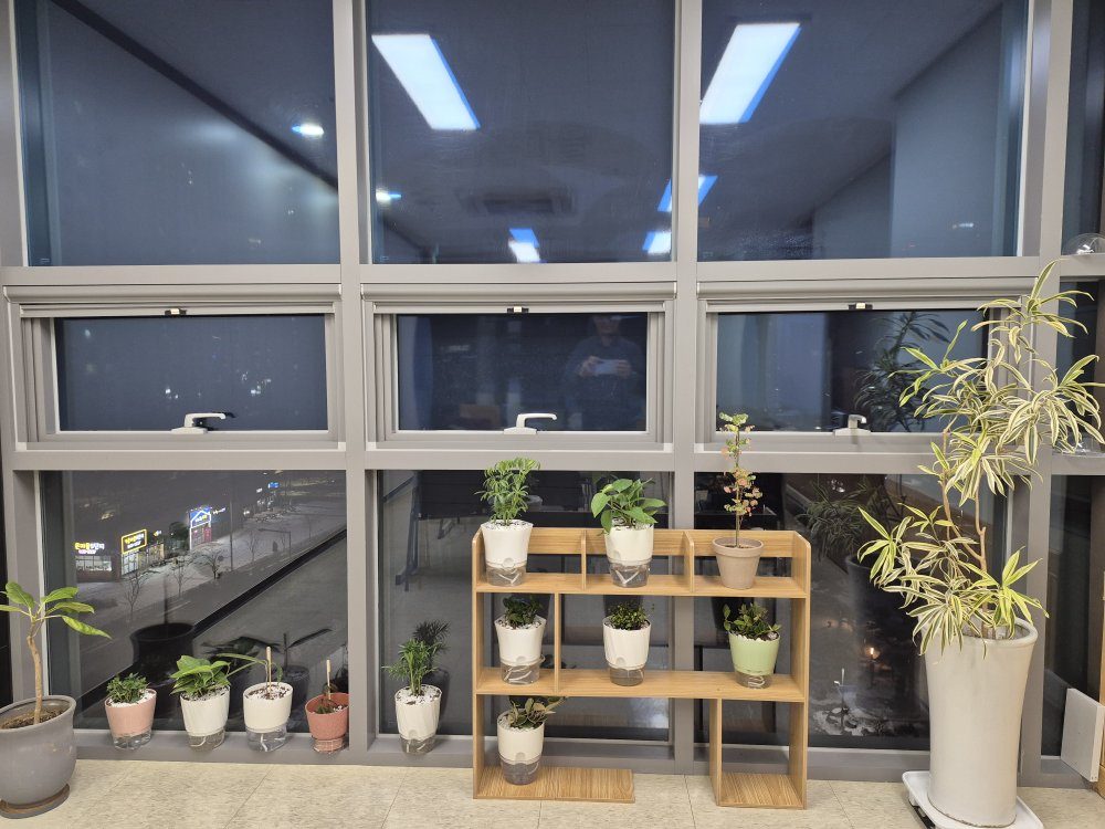 창가의 작은 식물들